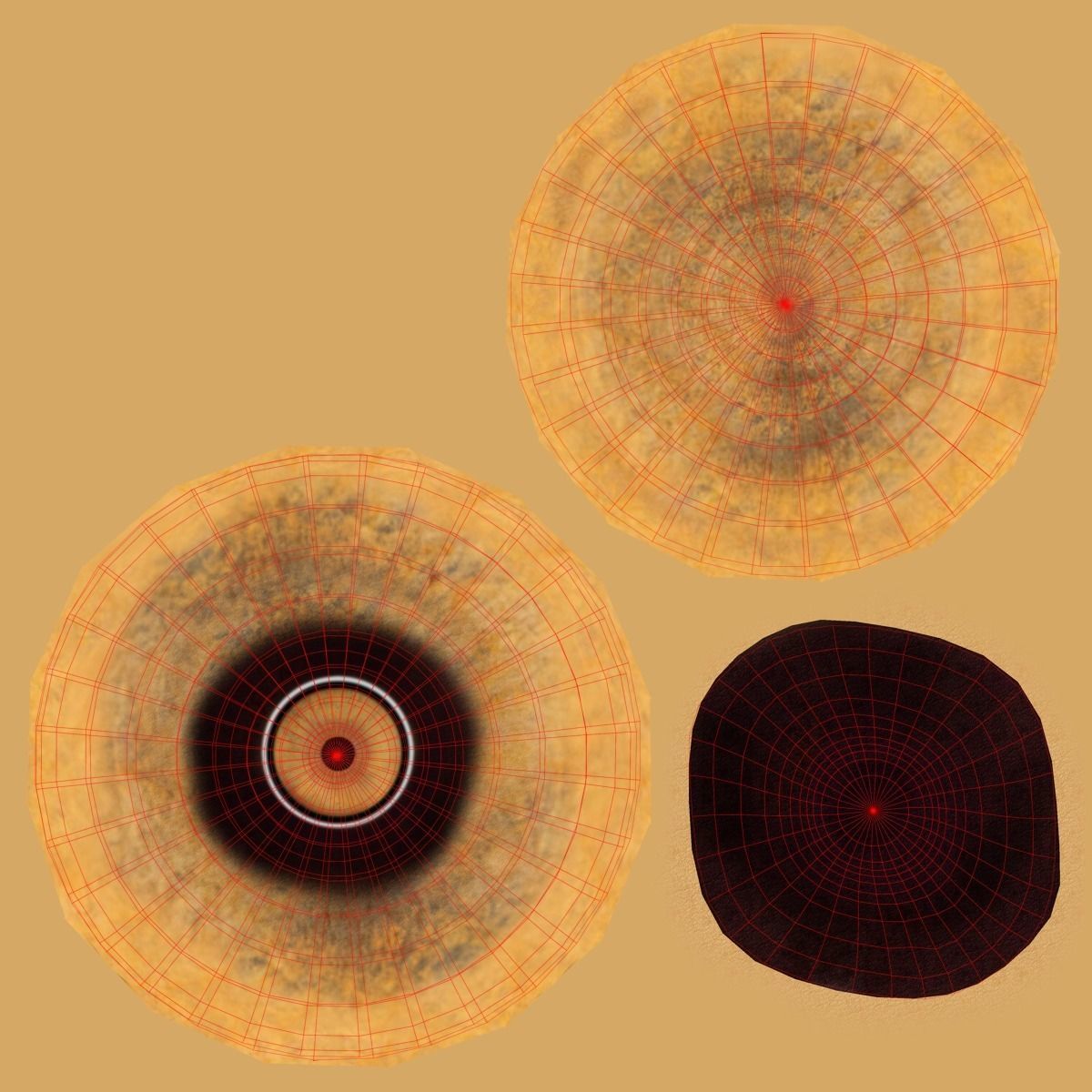 African Elephant Animated 3D model_15