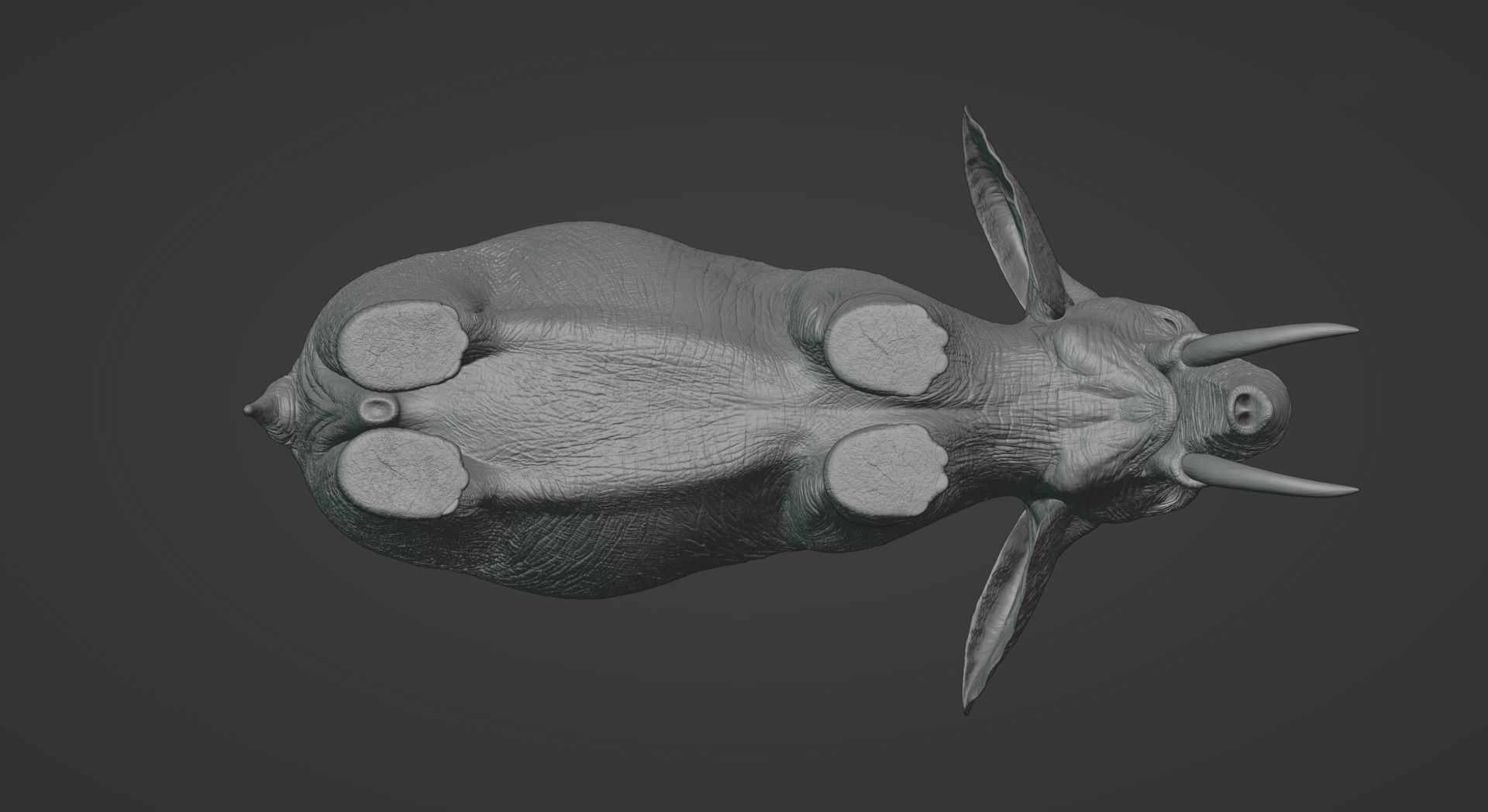 African Elephant Animated 3D model_7