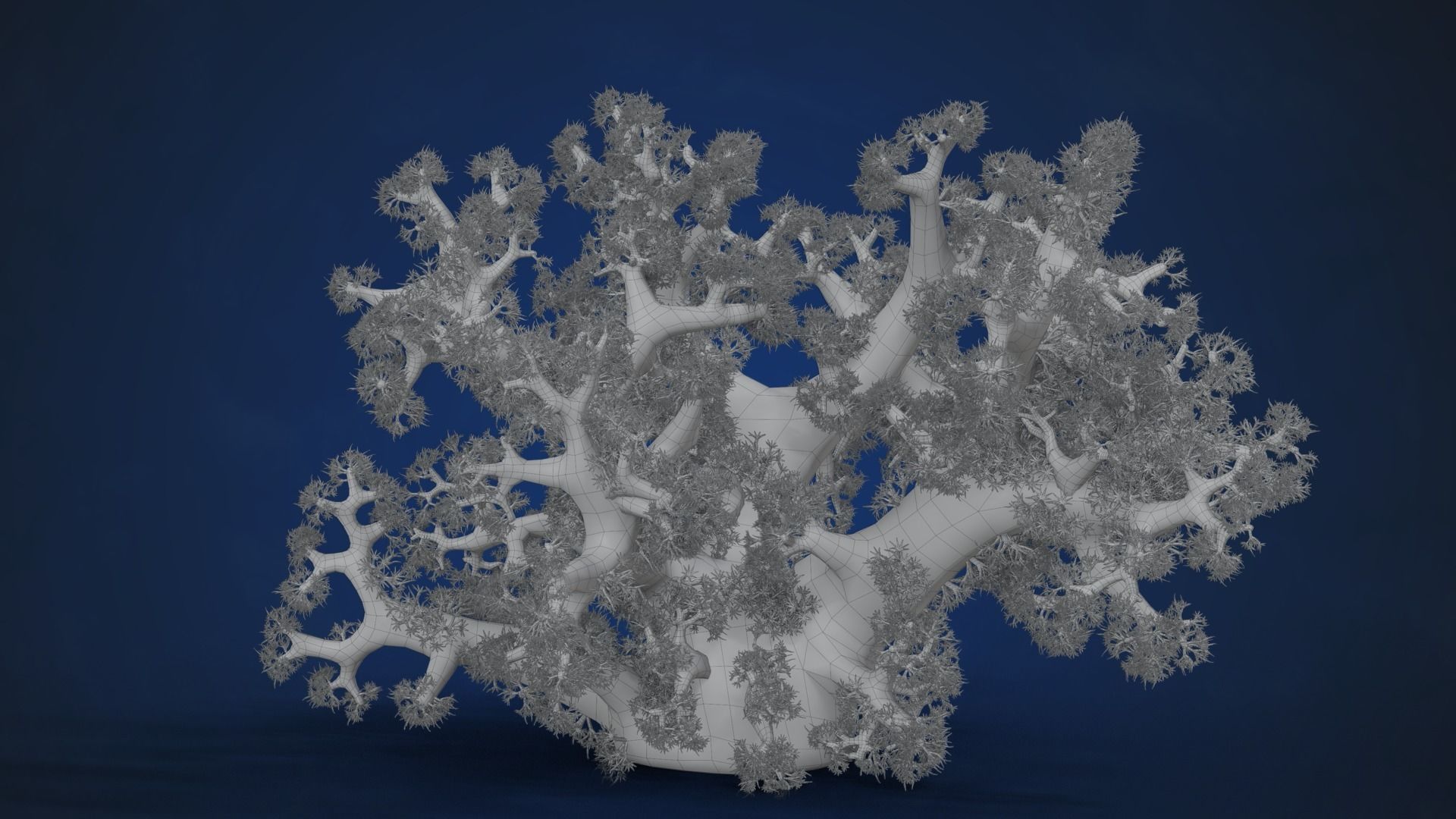 Corals Collection  VFX Grace 3D model_76