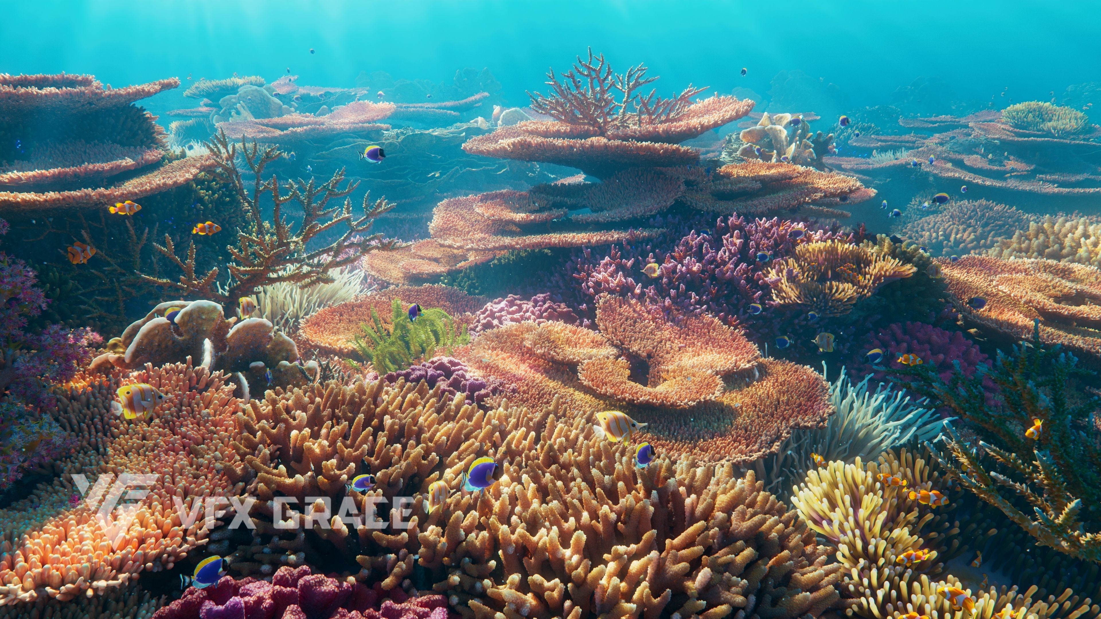 Corals Collection  VFX Grace 3D model_7