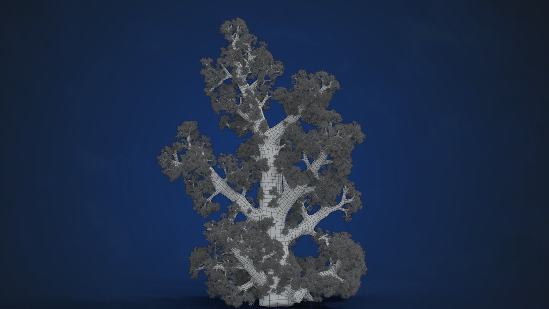 Corals Collection  VFX Grace 3D model_80