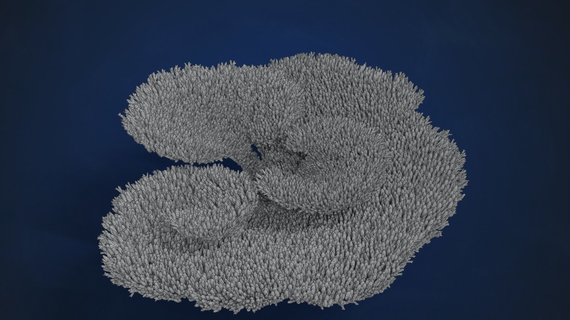 Corals Collection  VFX Grace 3D model_45