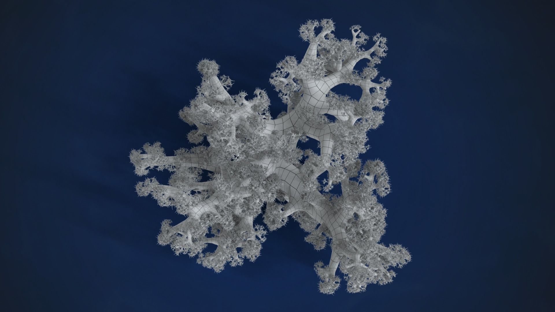 Corals Collection  VFX Grace 3D model_77
