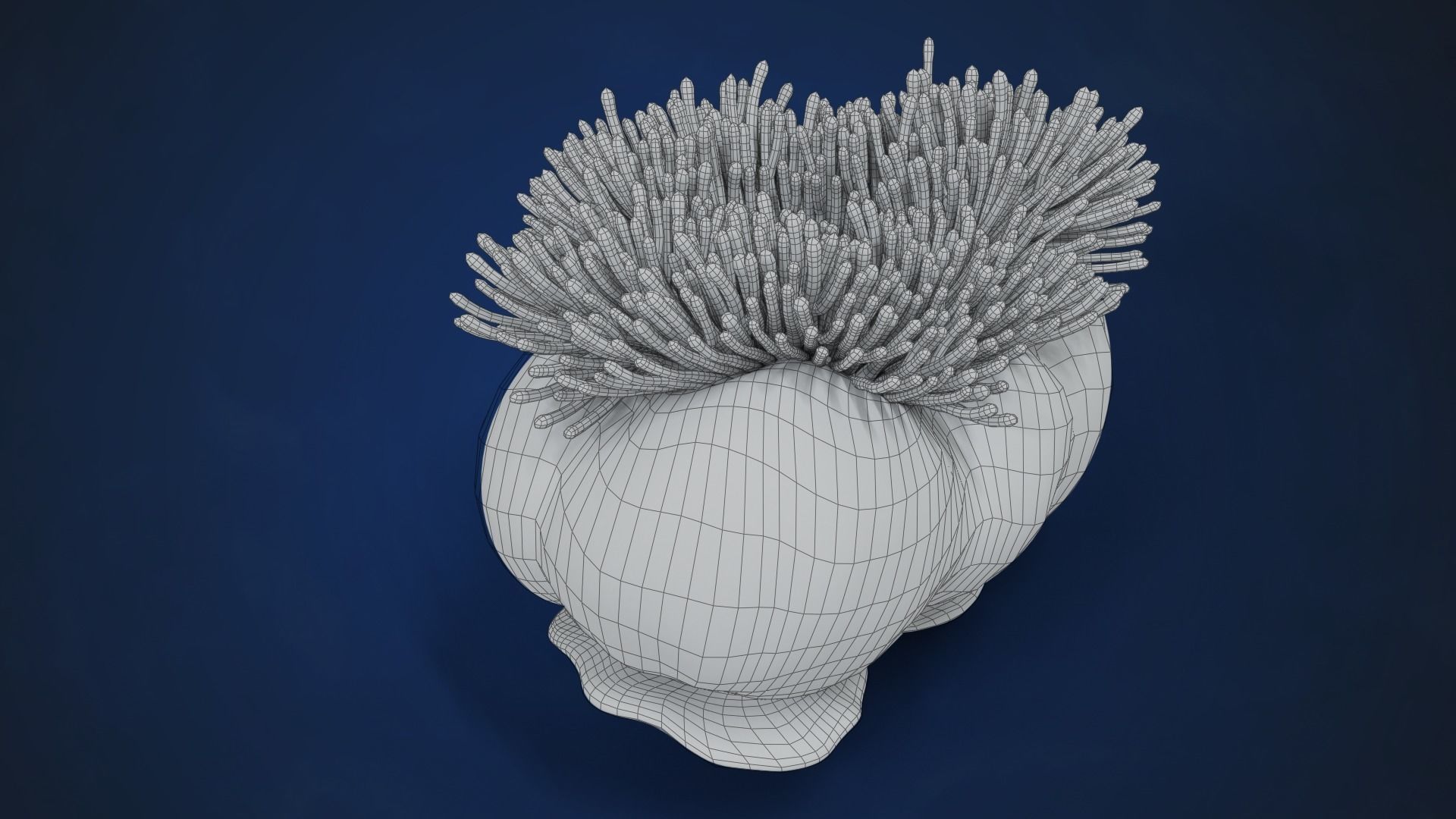 Corals Collection  VFX Grace 3D model_57