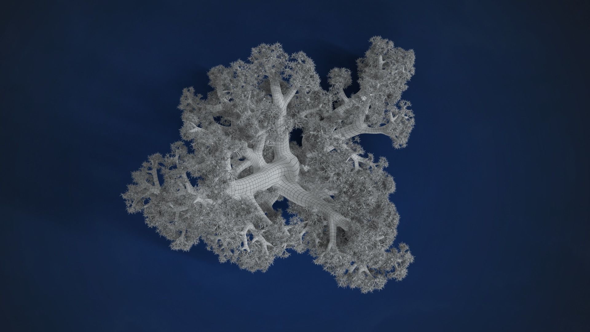 Corals Collection  VFX Grace 3D model_81