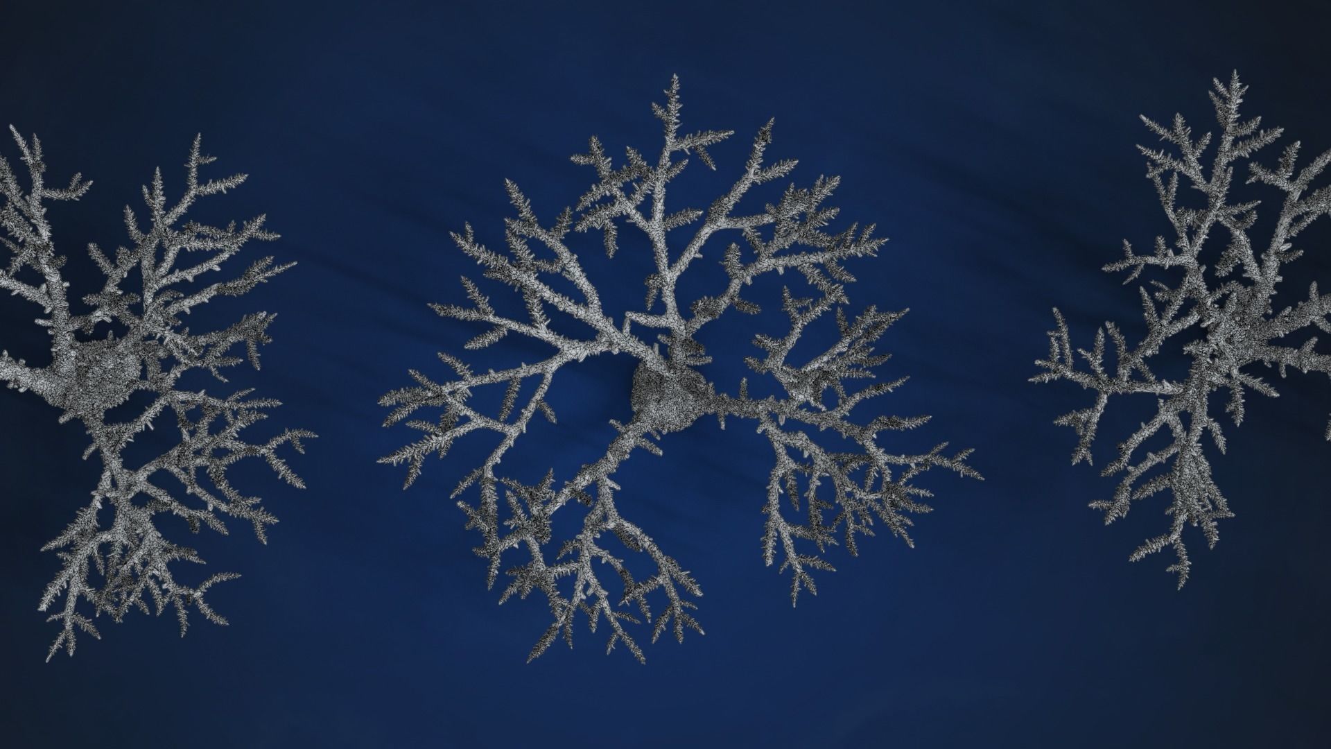 Corals Collection  VFX Grace 3D model_69