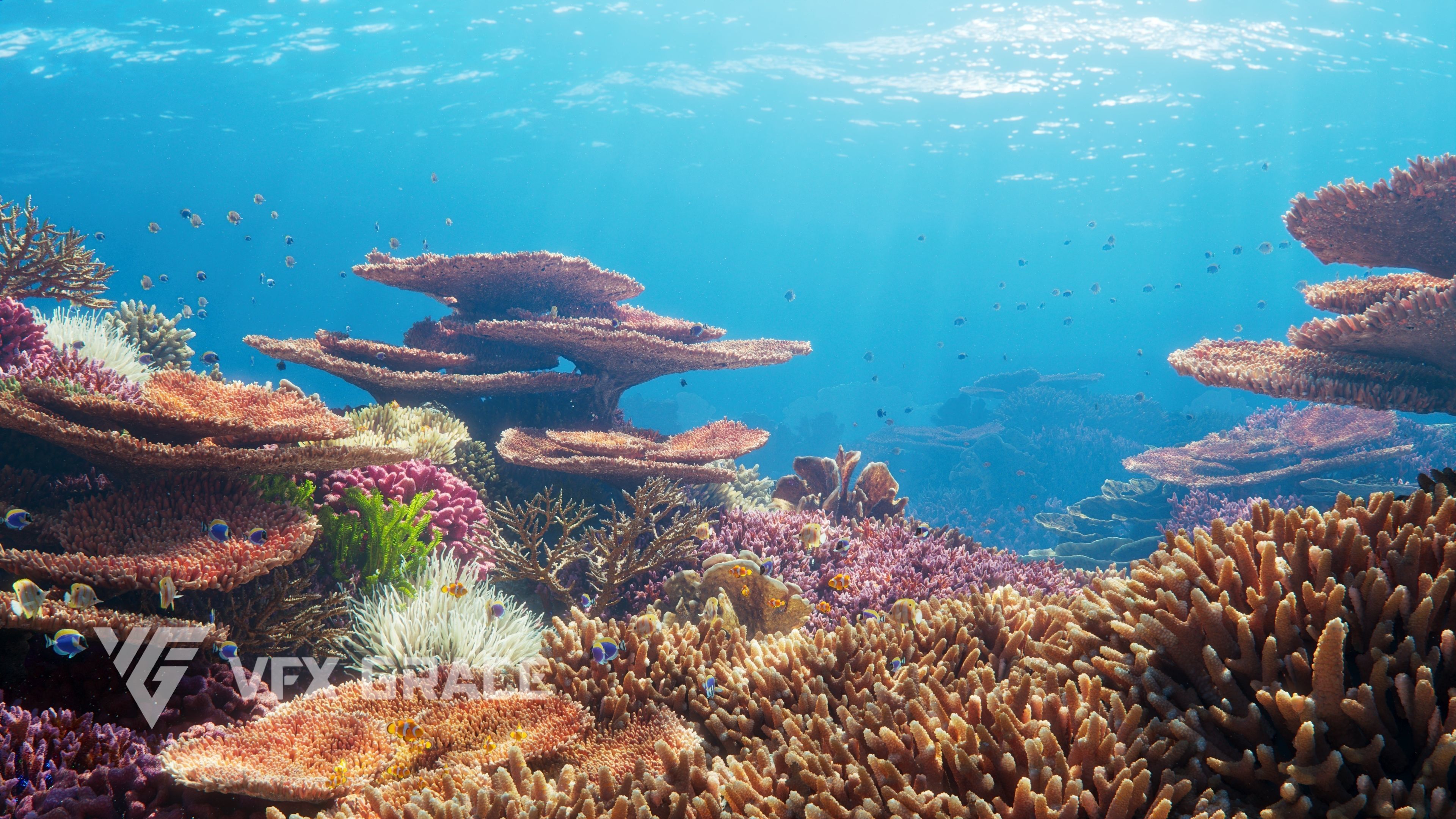 Corals Collection  VFX Grace 3D model_9