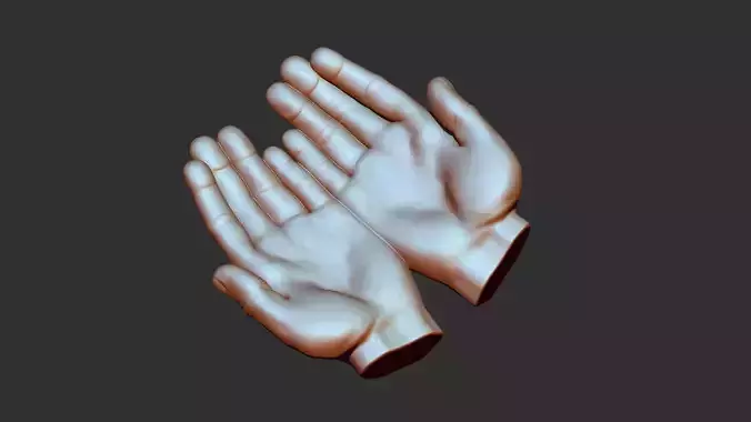 hand 3d print pair of hands