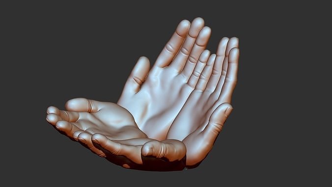 hand 3d print hands 3D print model