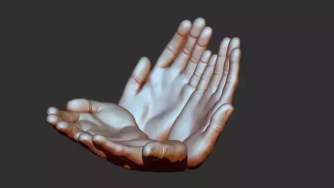hand 3d print hands