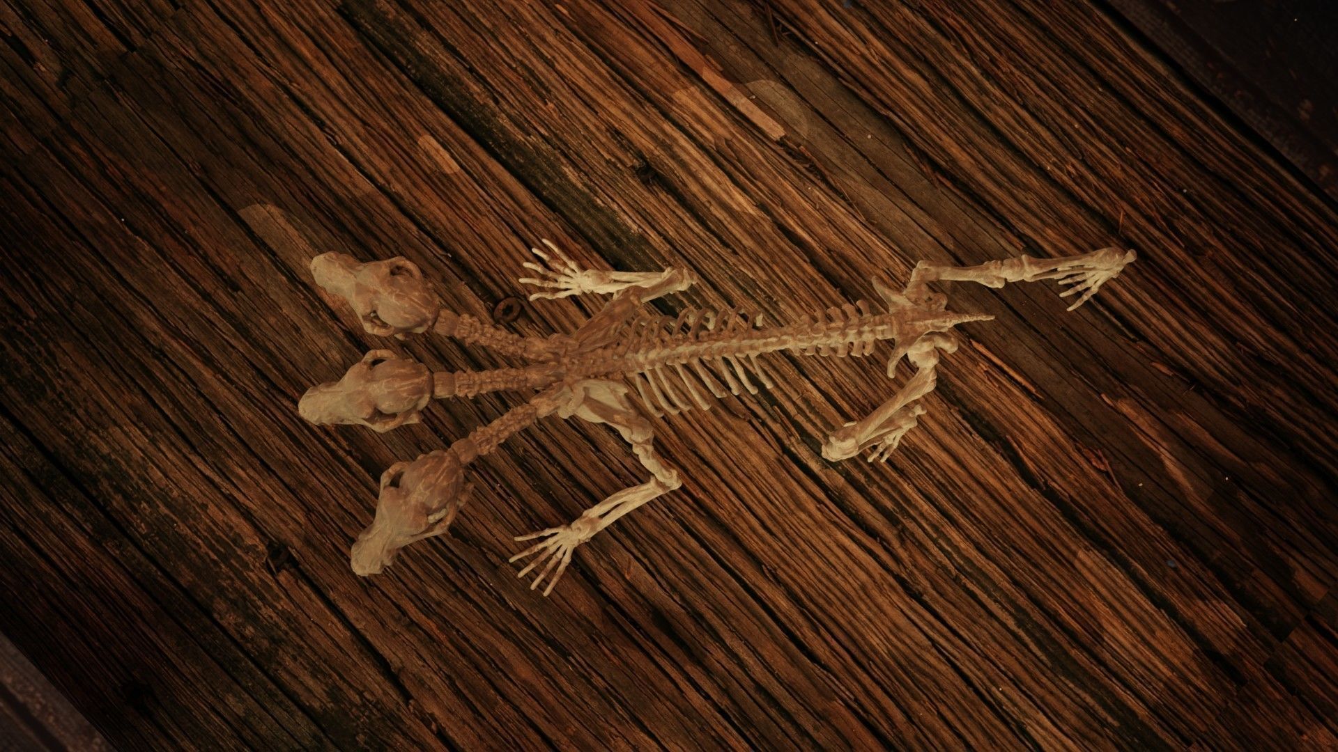 Cerberus Skeleton 3D print model_6