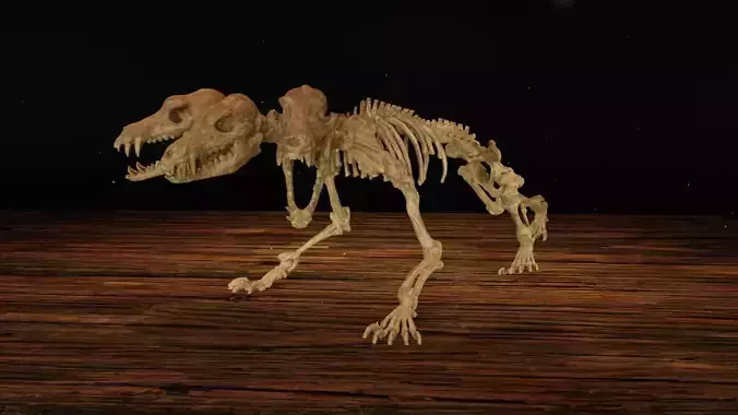 Cerberus Skeleton 3D print model
