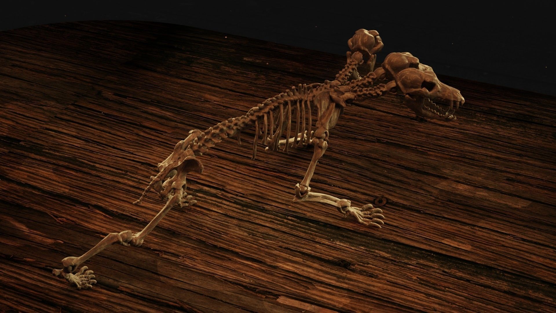 Cerberus Skeleton 3D print model_3