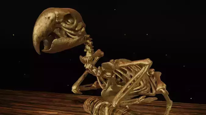 Macaw Skeleton 3D print model