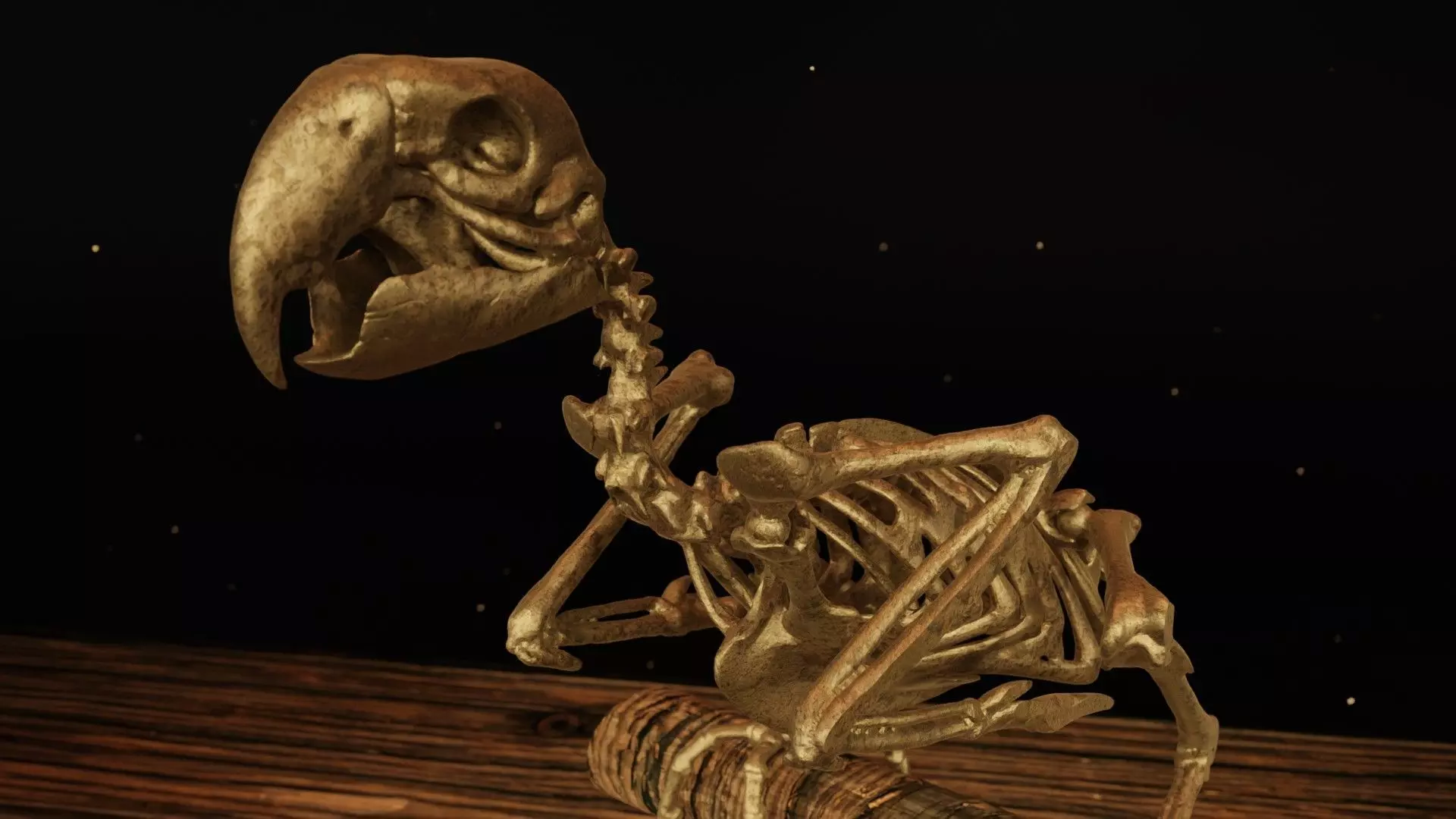 Macaw Skeleton 3D print model