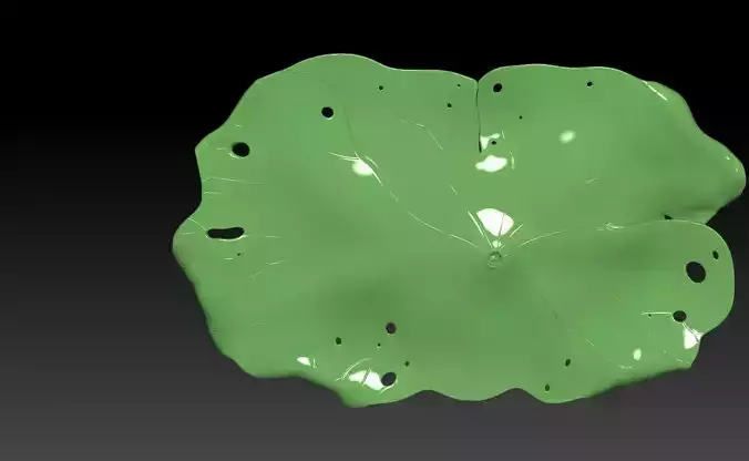 Dried Lotus leaf 3D print model