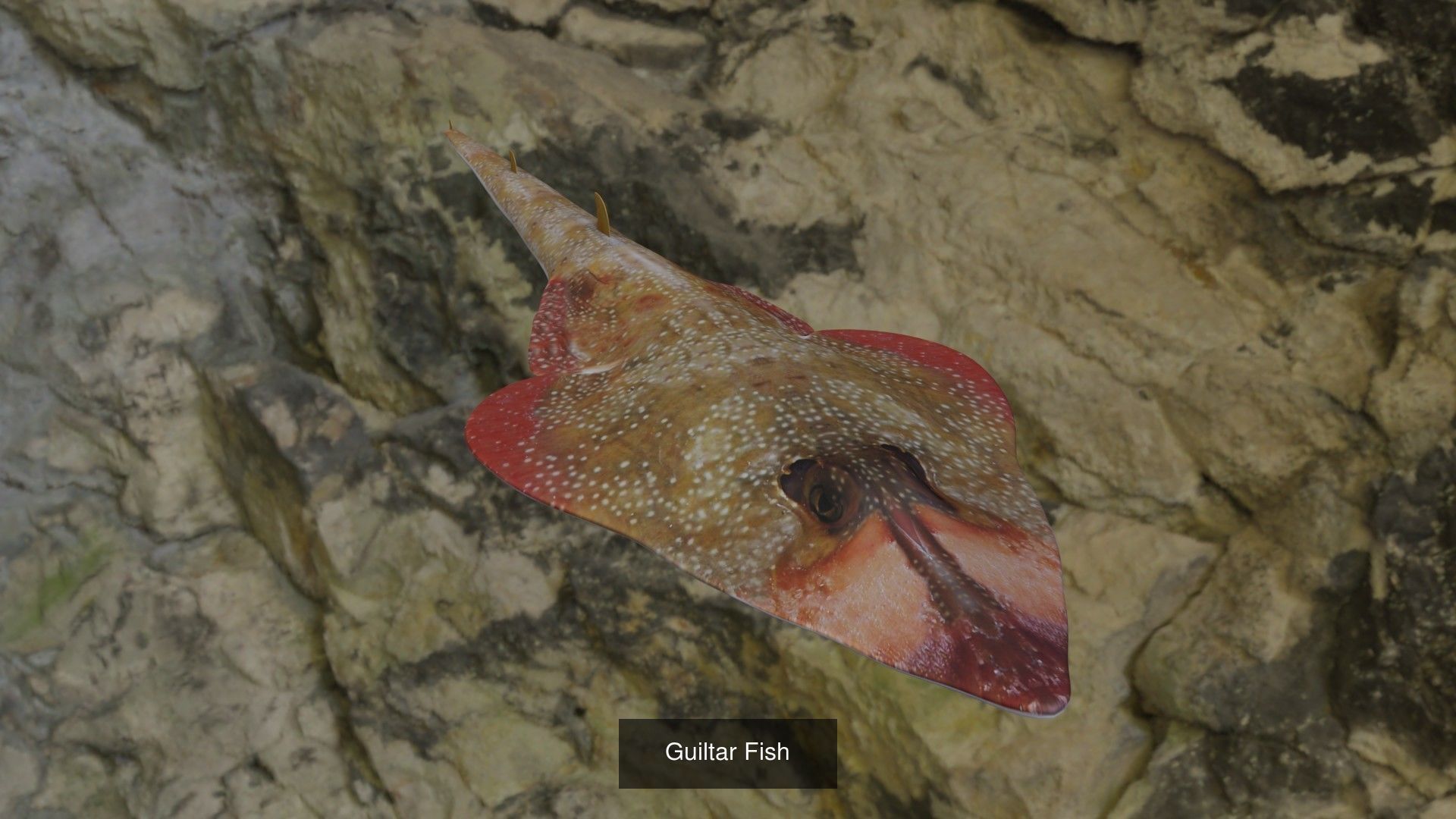 Fishes shark swimming in ocean 3D Model Collection_3
