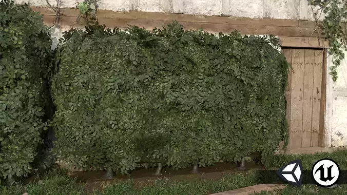 Nature Assets - Garden Hedge