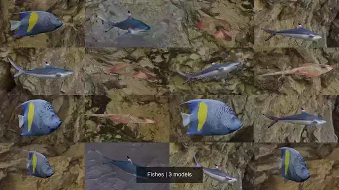 Fishes shark swimming in ocean