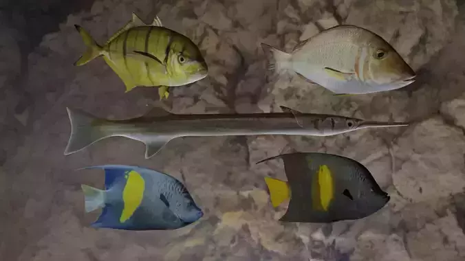 Fishes fish swimming in water 3D Model Collection Fishes fish swimming in water 3D Model Collection