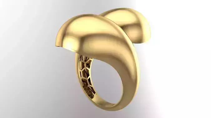 POLISHED FUSION RING-R13-