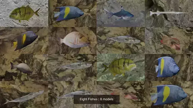 Eight Fishes