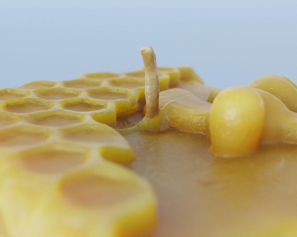 Photoscanned Beeswax Honey Candle 3D model_8