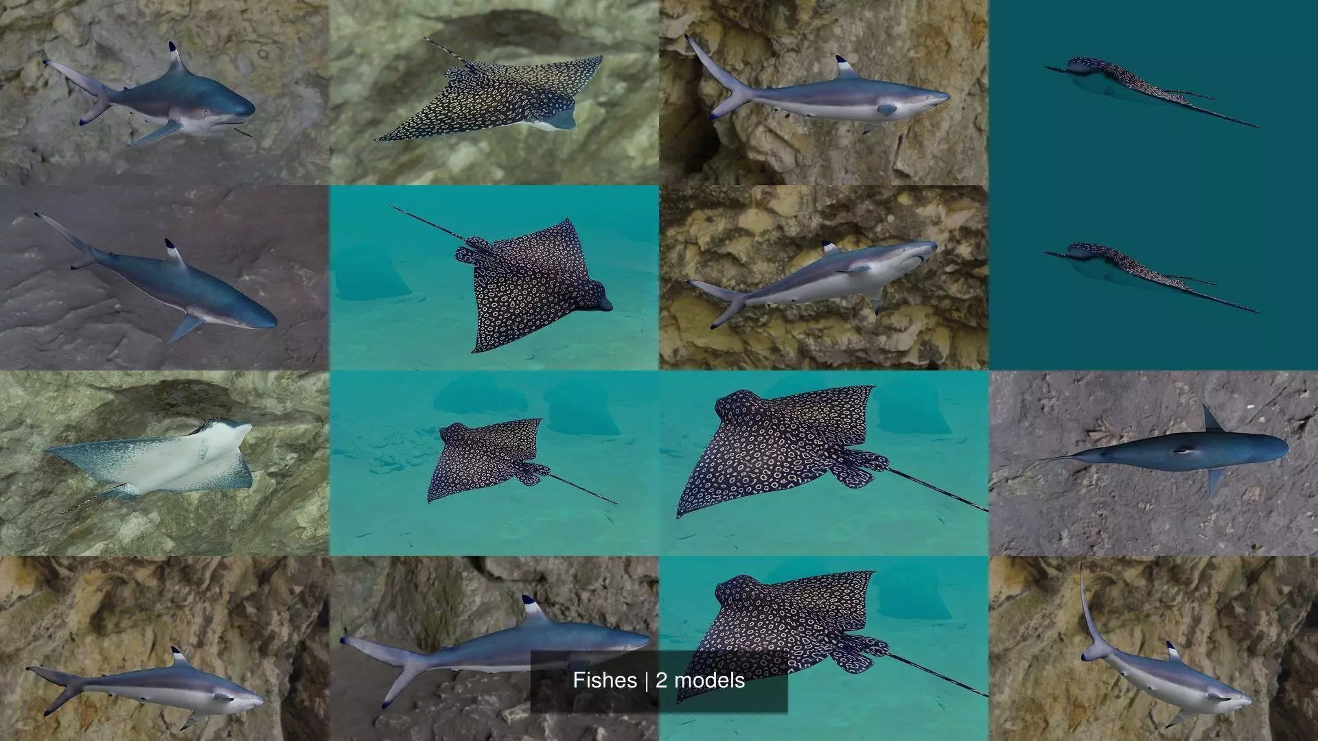 Fishes shark swimming in ocean 3D Model Collection_2