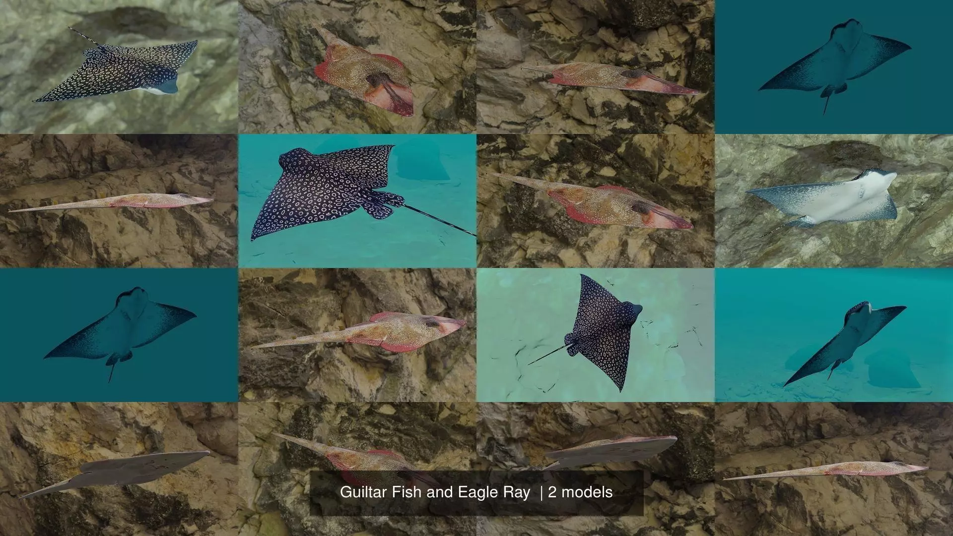 Guiltar Fish and Eagle Ray  3D Model Collection_2