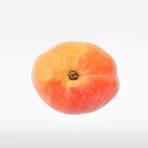 Apricot 3D model 7