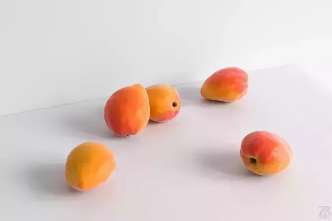 Apricot 3D model