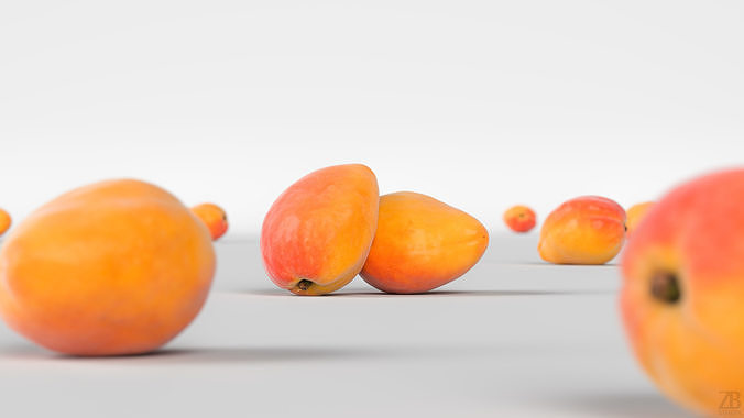 Apricot 3D model 2
