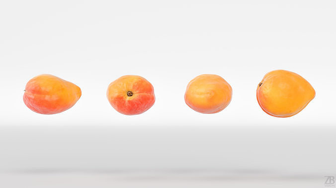 Apricot 3D model 5