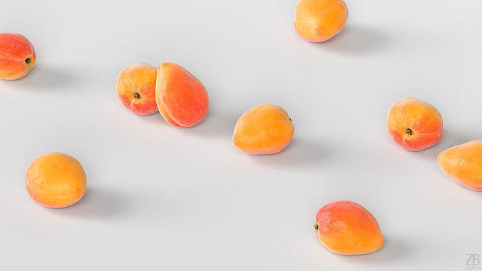 Apricot 3D model 3
