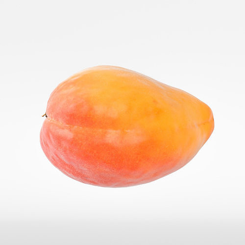Apricot 3D model 6