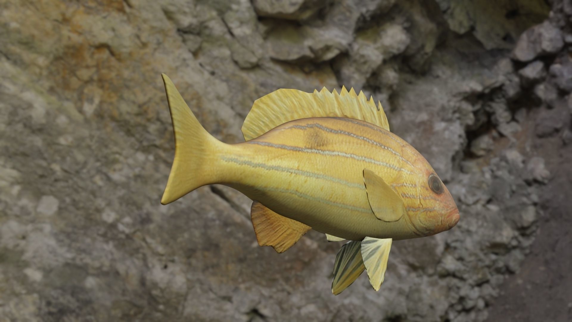 Five inned Fish  Low-poly 3D model_15