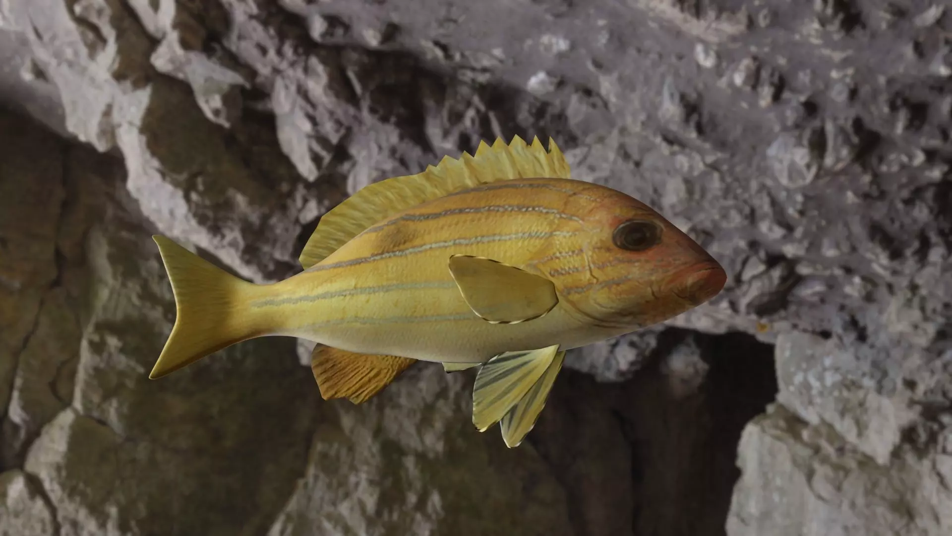 Five inned Fish  Low-poly 3D model_0