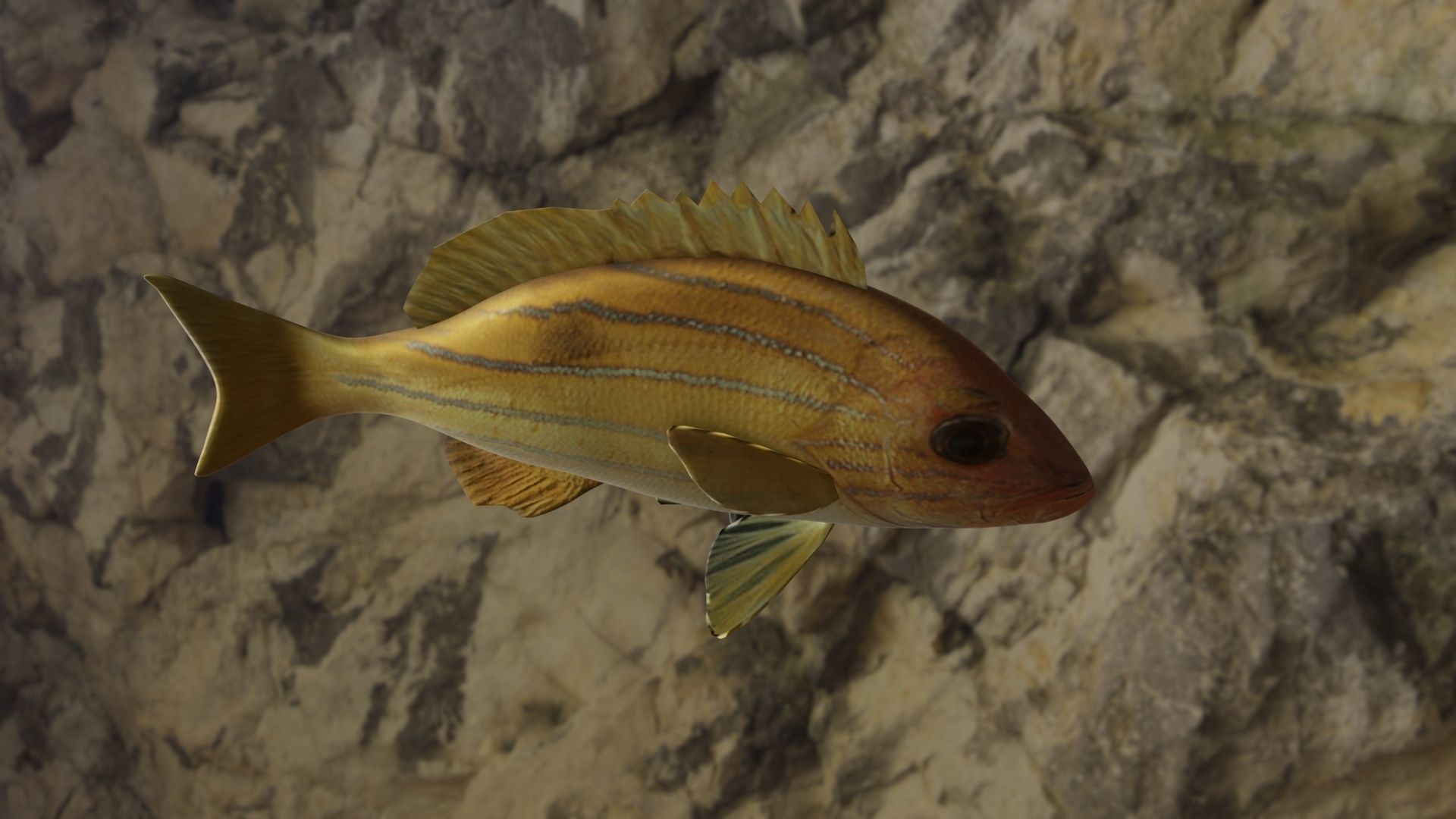 Five inned Fish  Low-poly 3D model_4