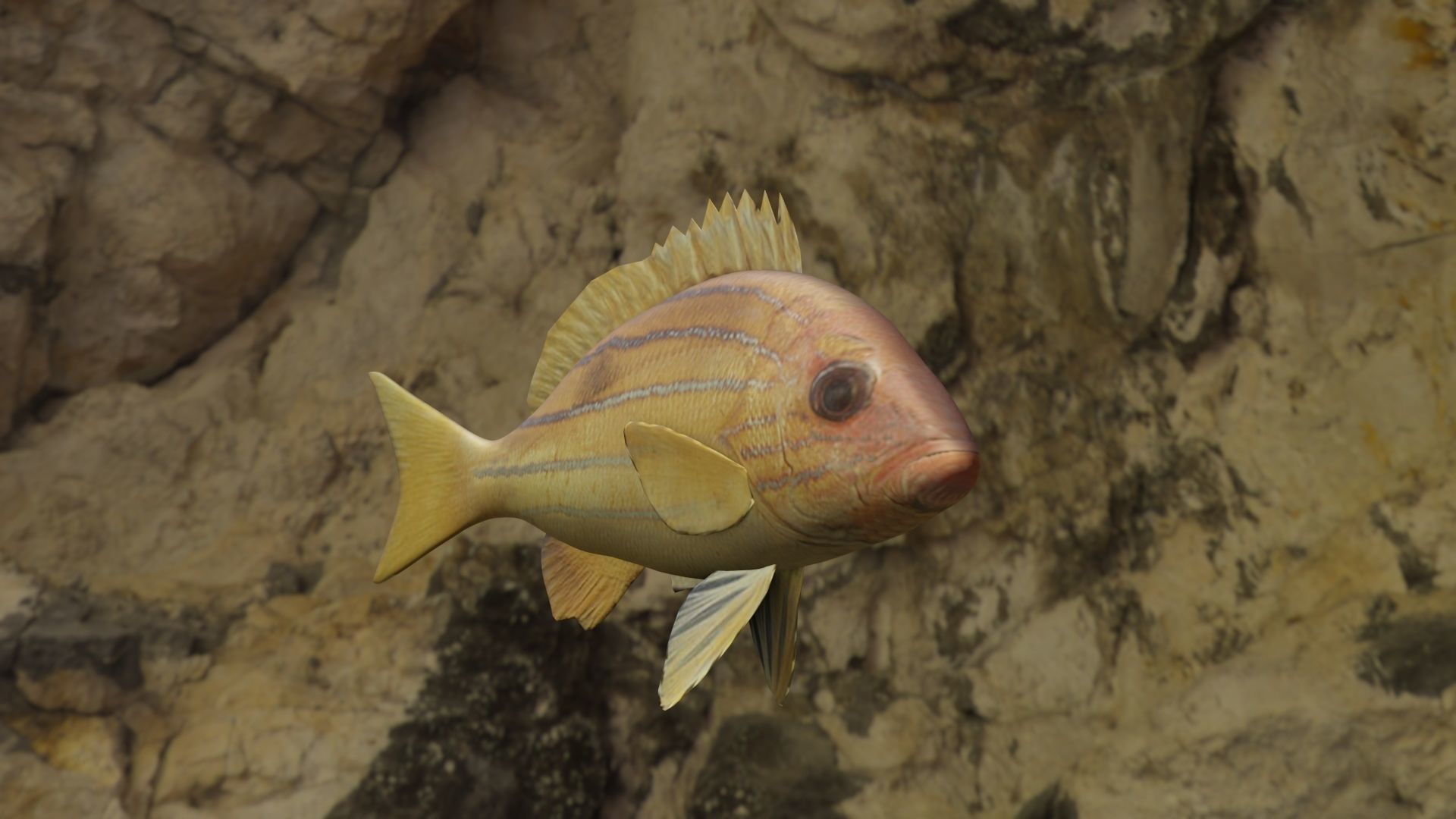 Five inned Fish  Low-poly 3D model_3