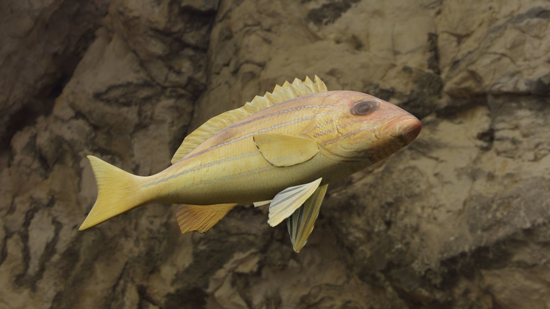 Five inned Fish  Low-poly 3D model_2