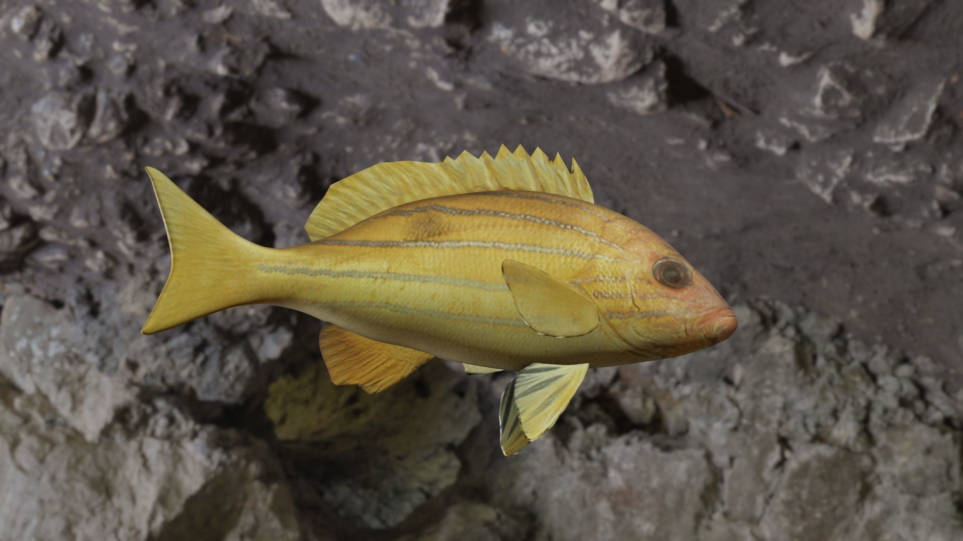Five inned Fish  Low-poly 3D model_7
