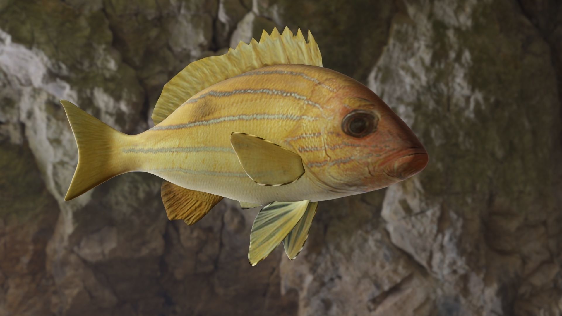 Five inned Fish  Low-poly 3D model_20