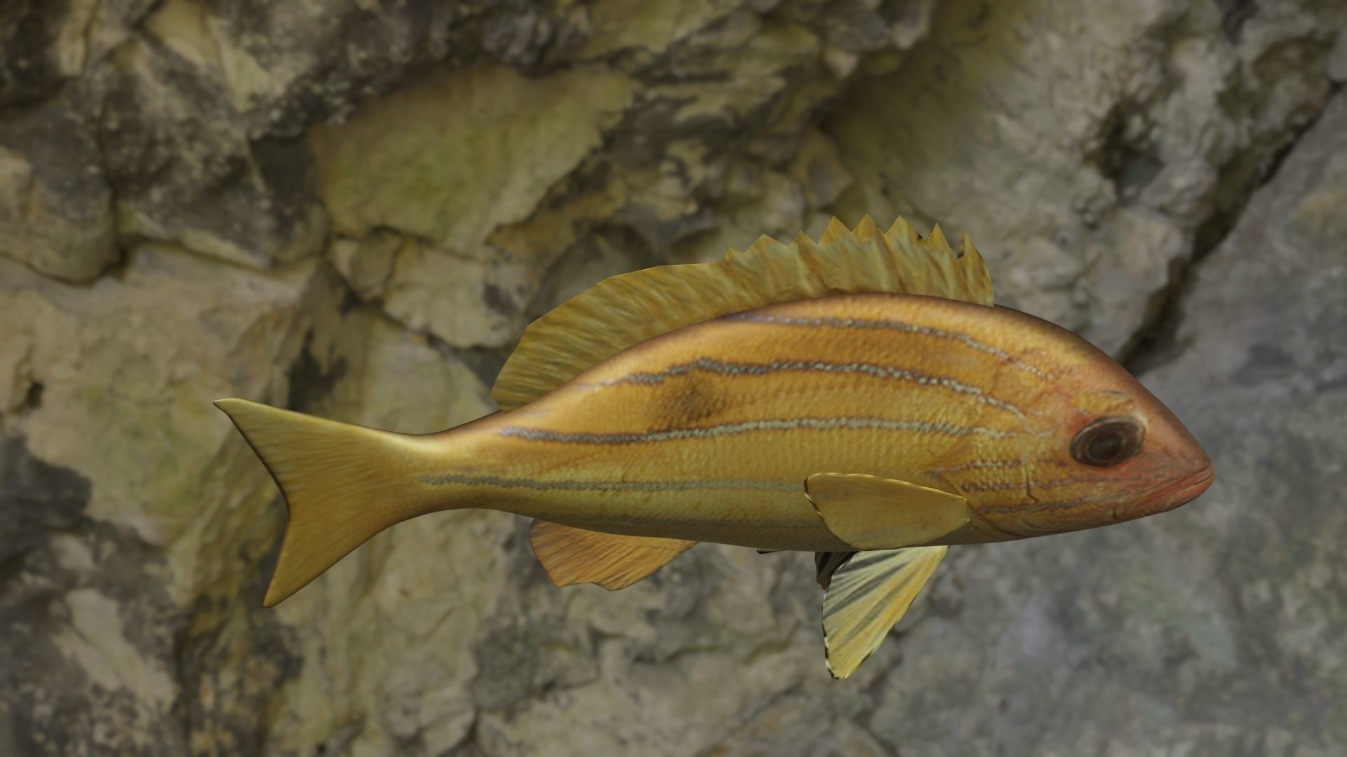 Five inned Fish  Low-poly 3D model_18