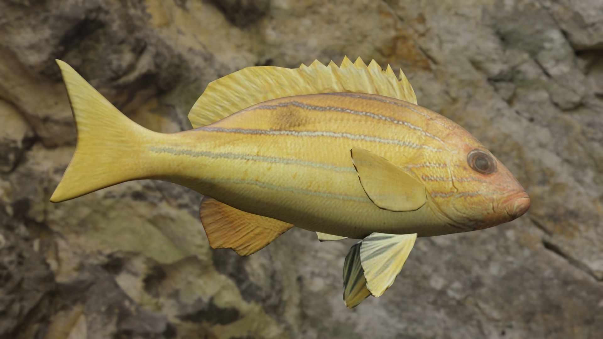 Five inned Fish  Low-poly 3D model_11