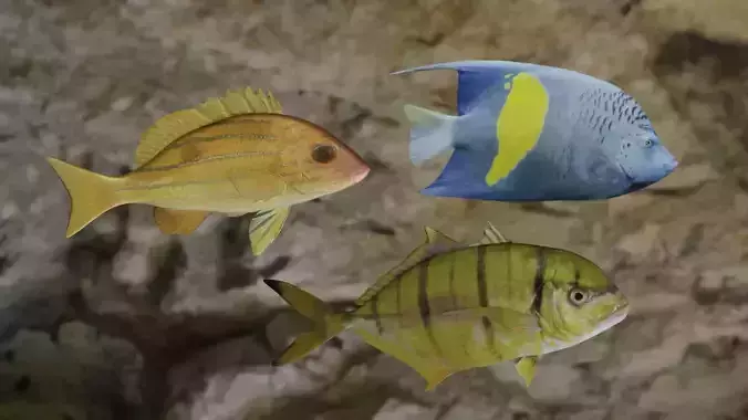 Fishes fish swimming in water 3D Model Collection Fishes fish swimming in water 3D Model Collection