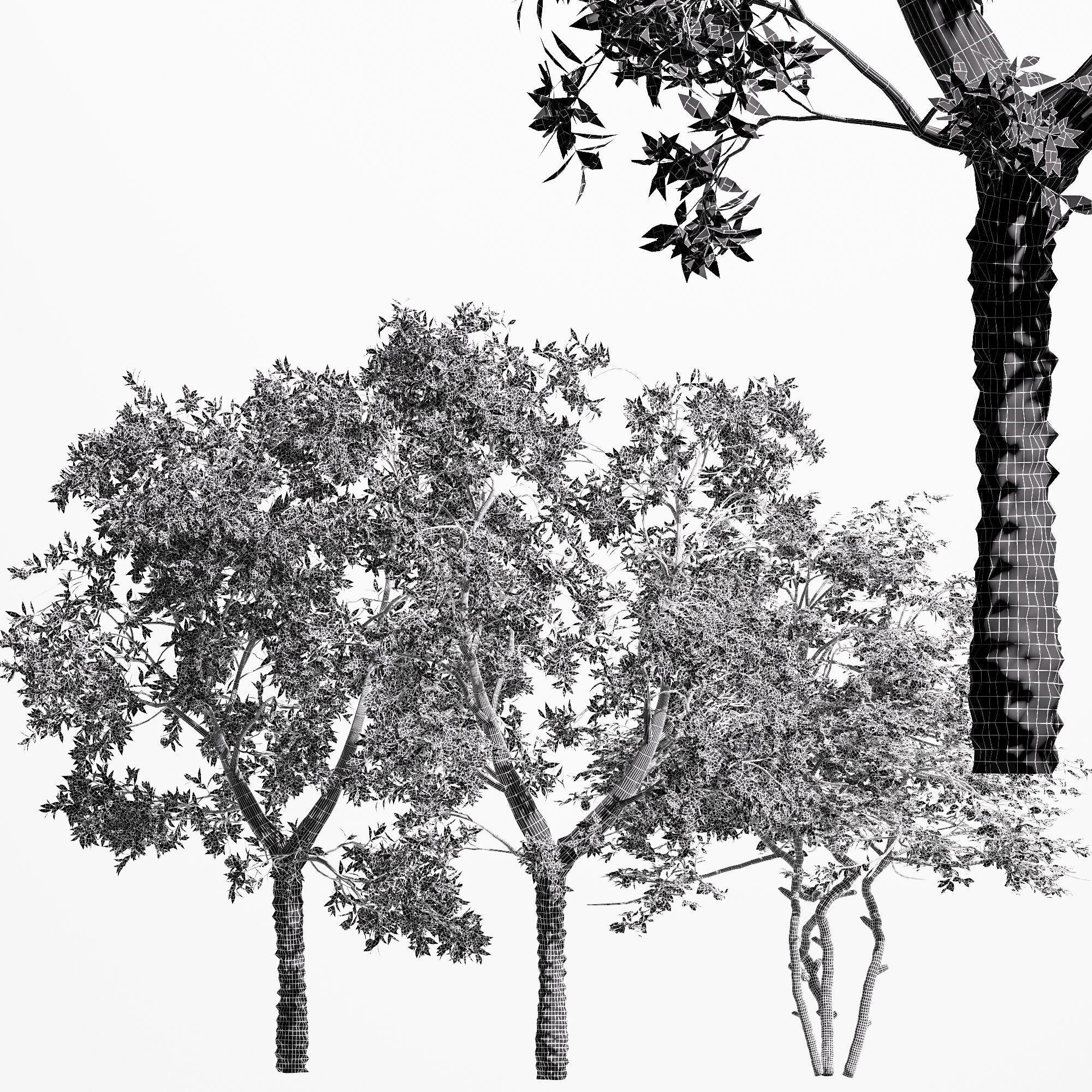 3 diffrent tree Orange Fruit Flower Lemon 3D model_4