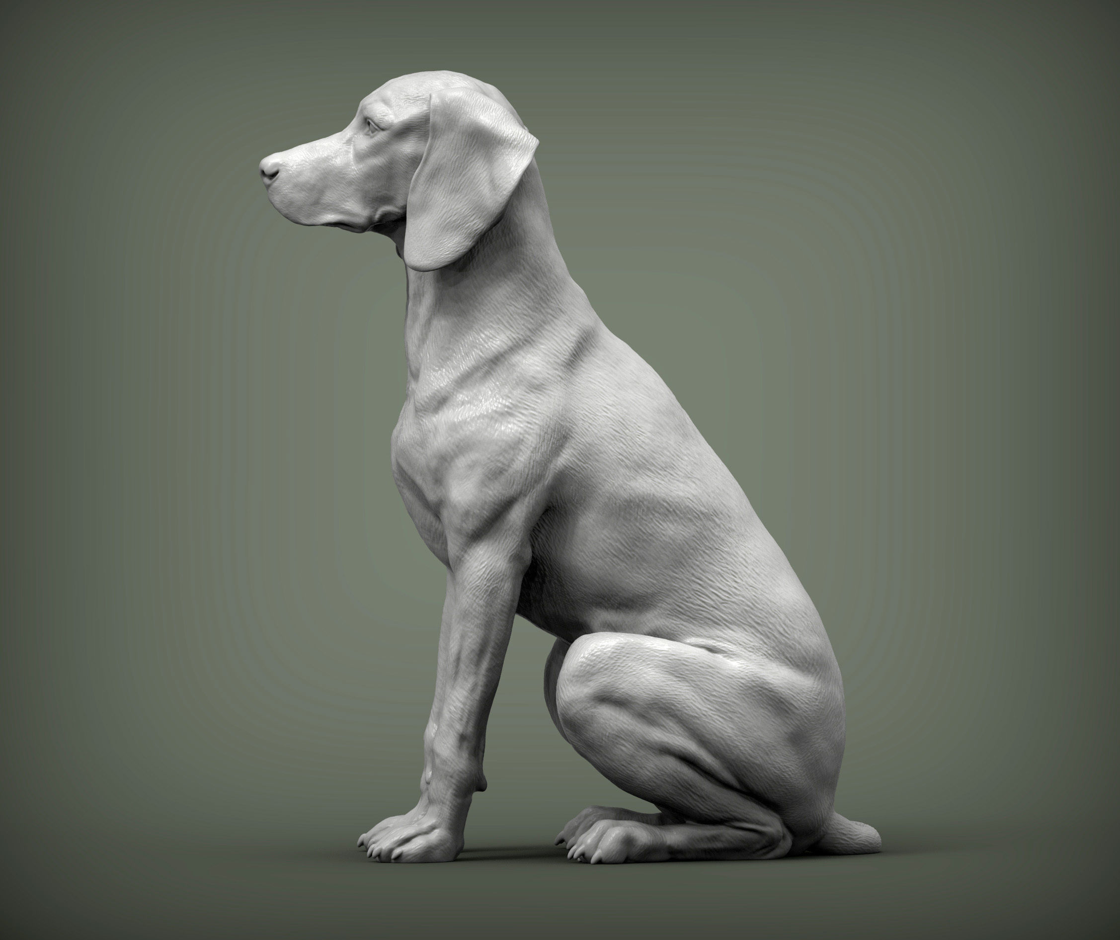 Hungarian vizsla  Hungarian Pointing Dog 3D print model_1