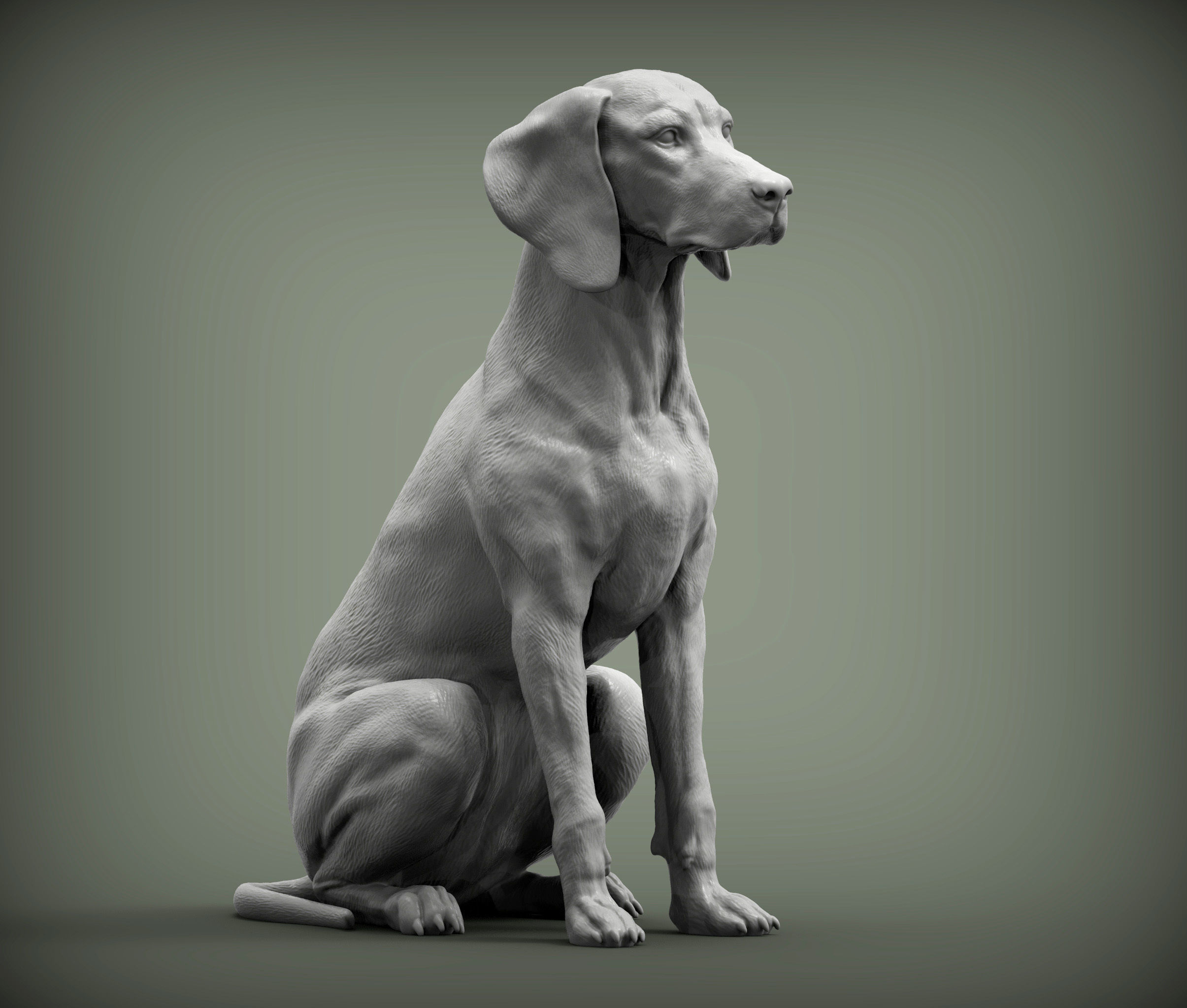 Hungarian vizsla  Hungarian Pointing Dog 3D print model_3
