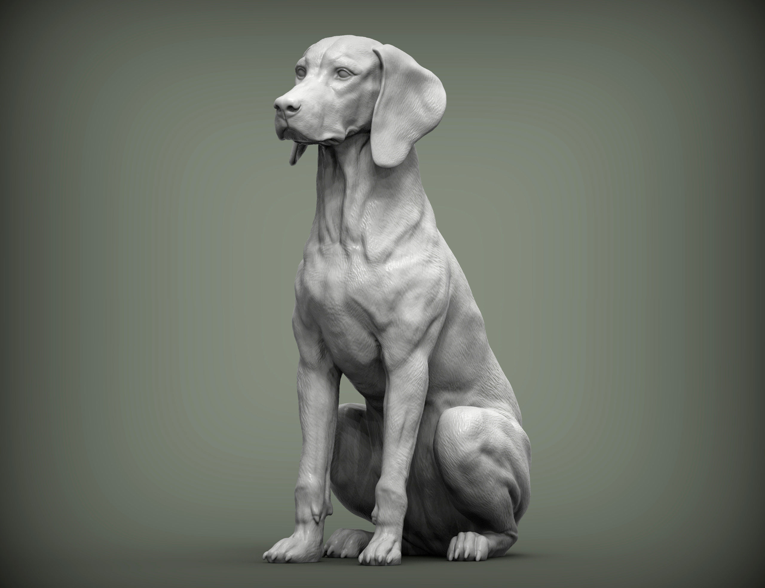 Hungarian vizsla  Hungarian Pointing Dog 3D print model_0