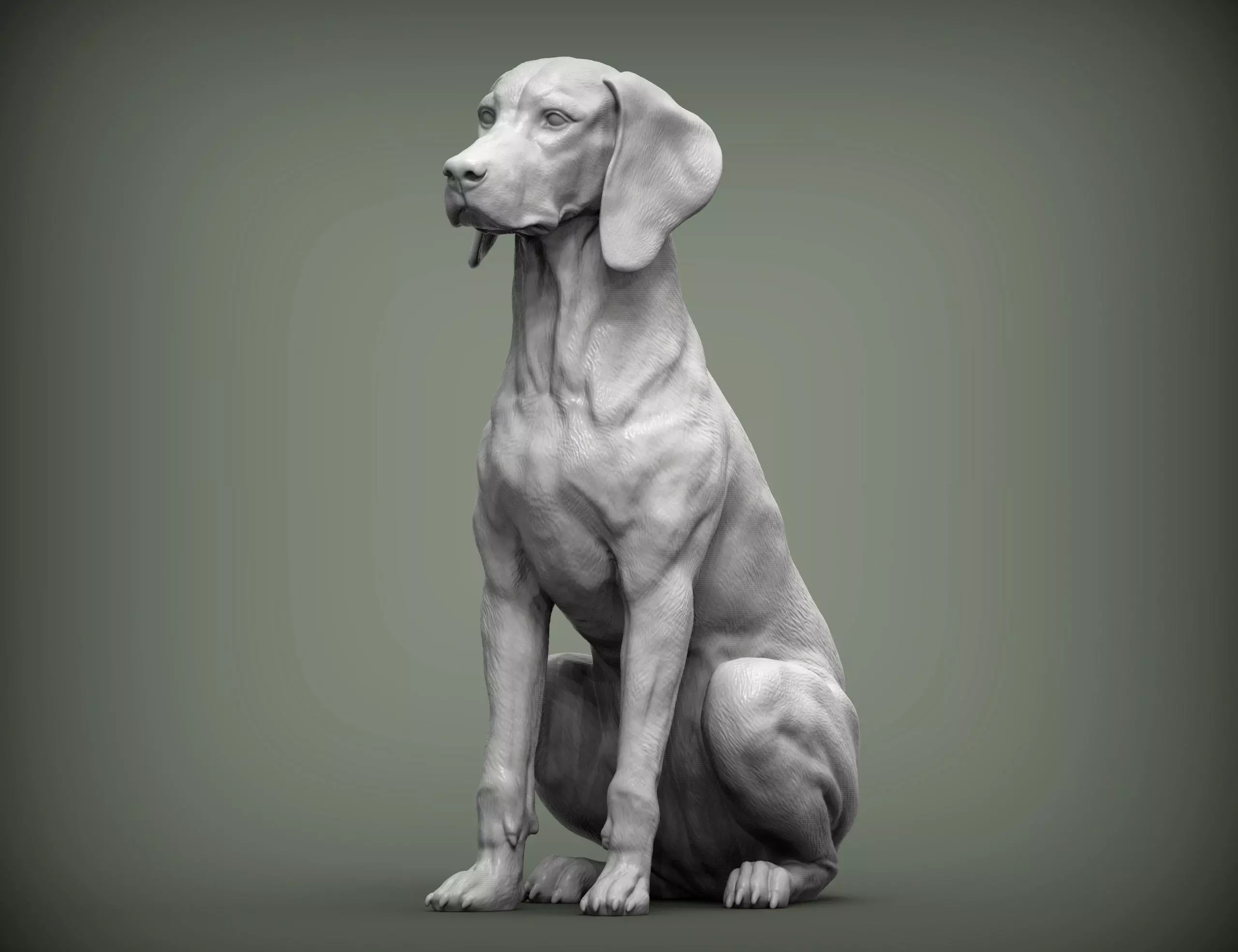 Hungarian vizsla Hungarian Pointing Dog 3D print model_0
